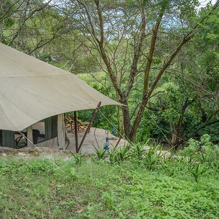 Dolly Farm & River Camp, Luxury Tents Usa River Esterno foto