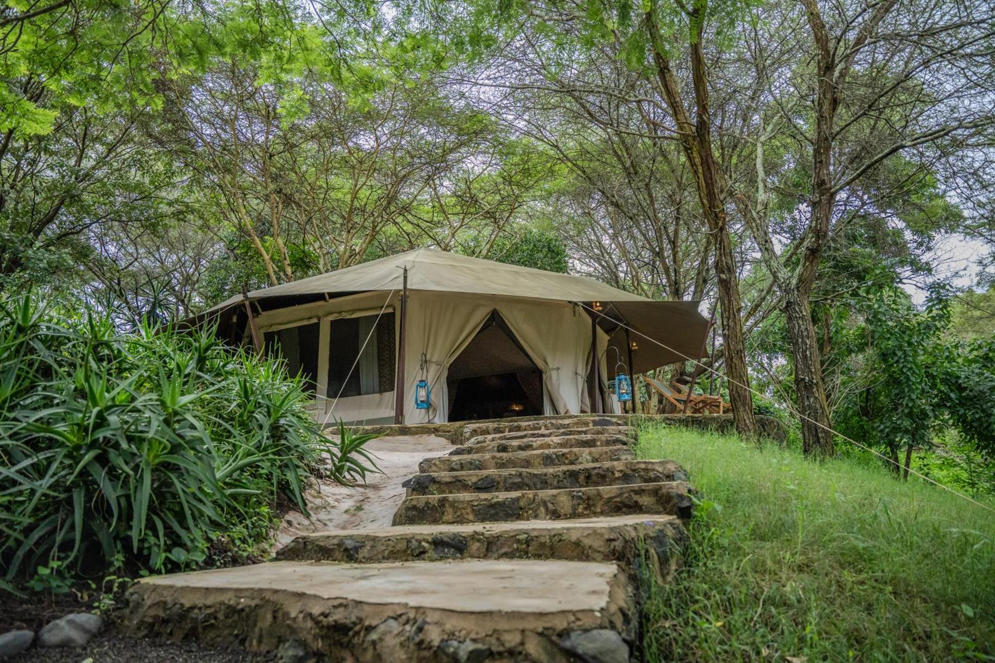 Dolly Farm & River Camp, Luxury Tents Usa River Esterno foto