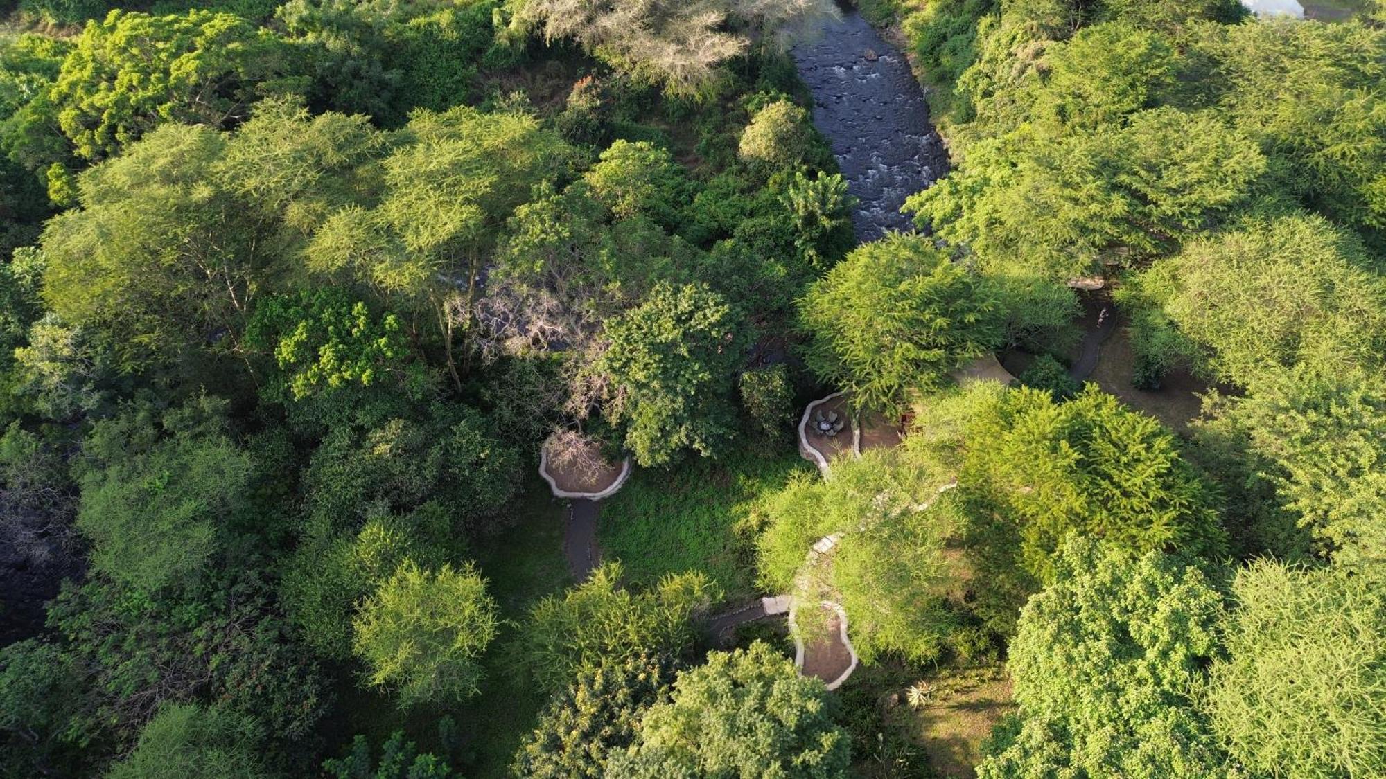Dolly Farm & River Camp, Luxury Tents Usa River Esterno foto
